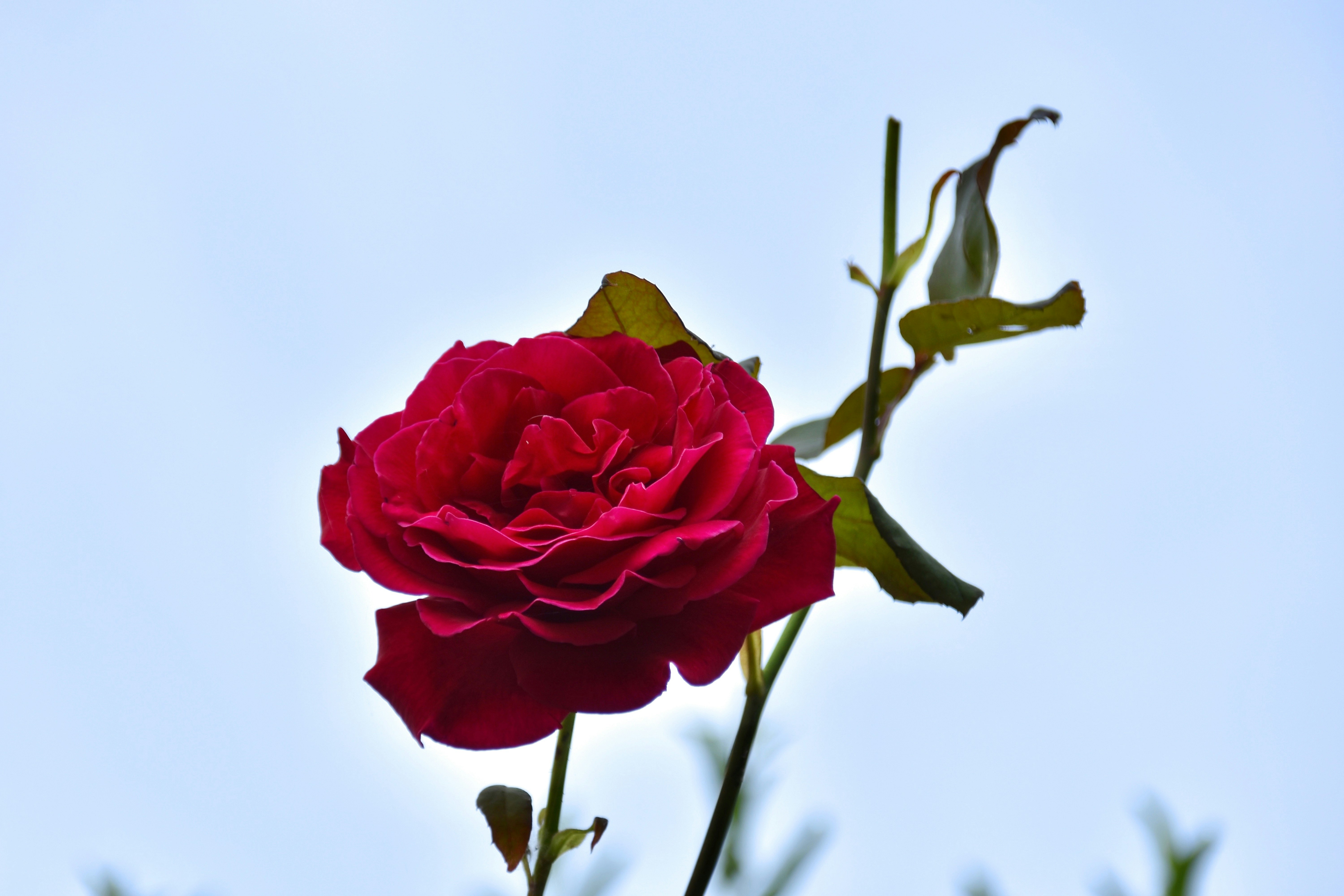 Photo by mariobeducci