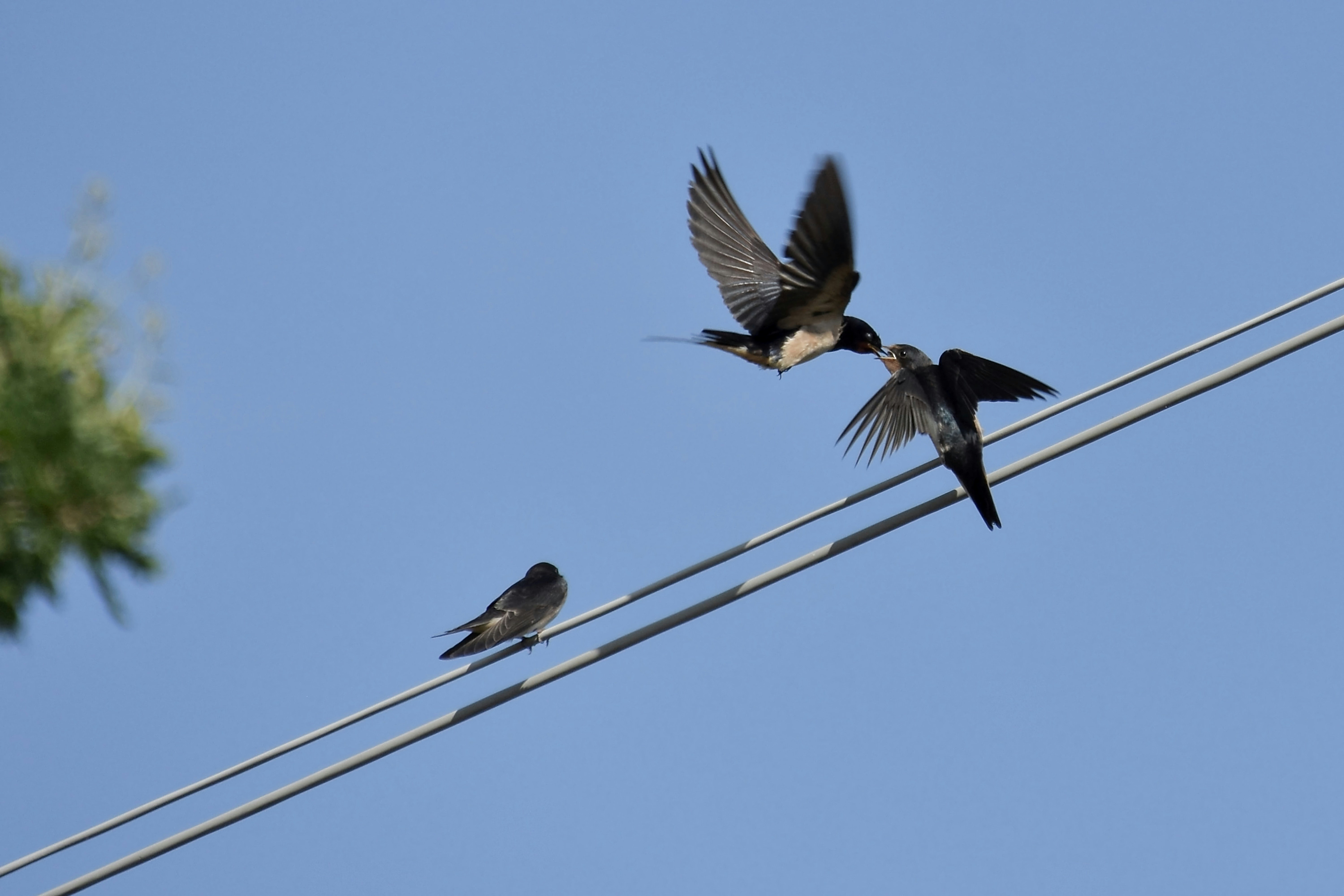 Photo by mariobeducci