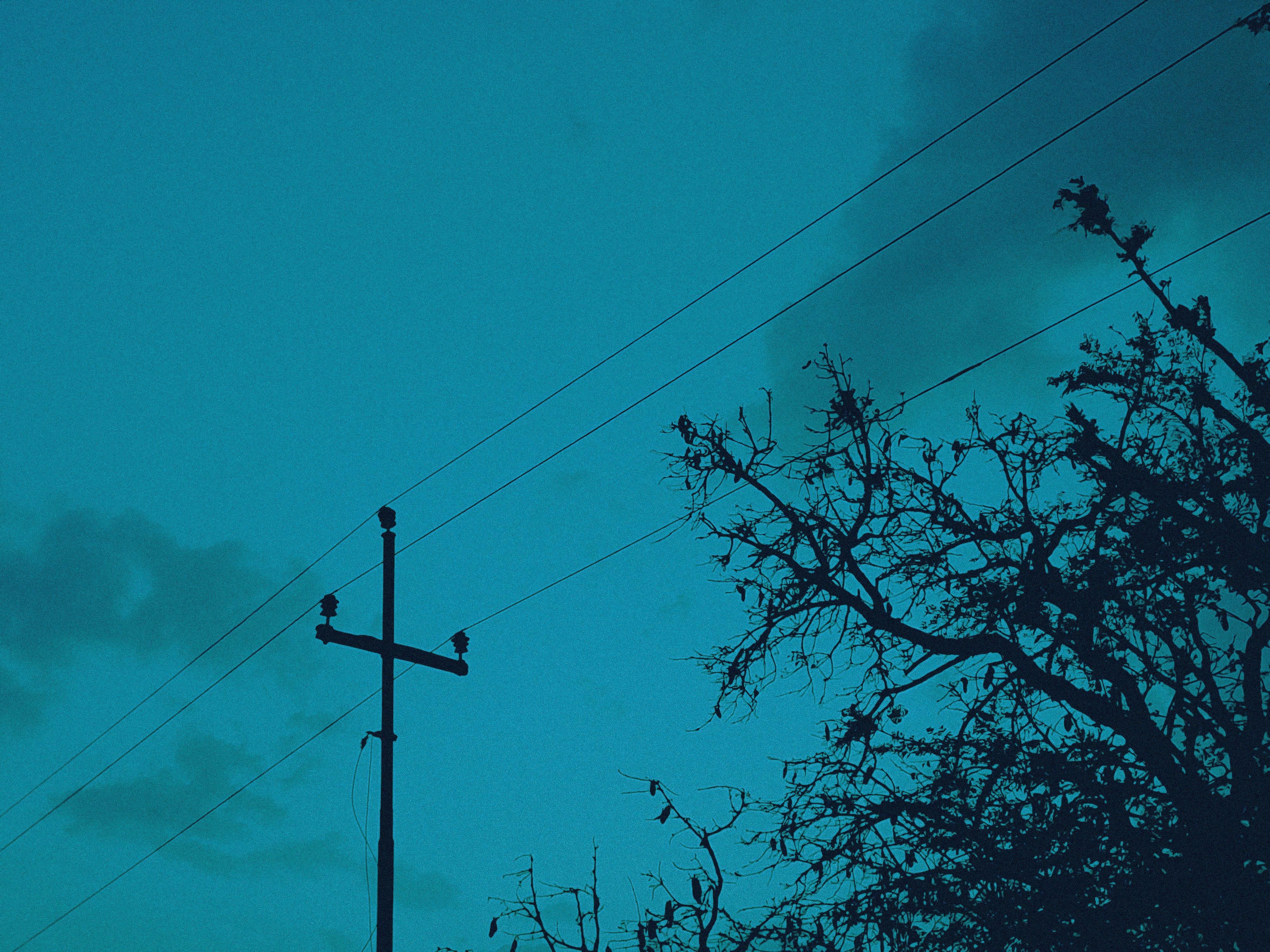 Image de Les meilleures sorties électro de début janvier 2025 à découvrir