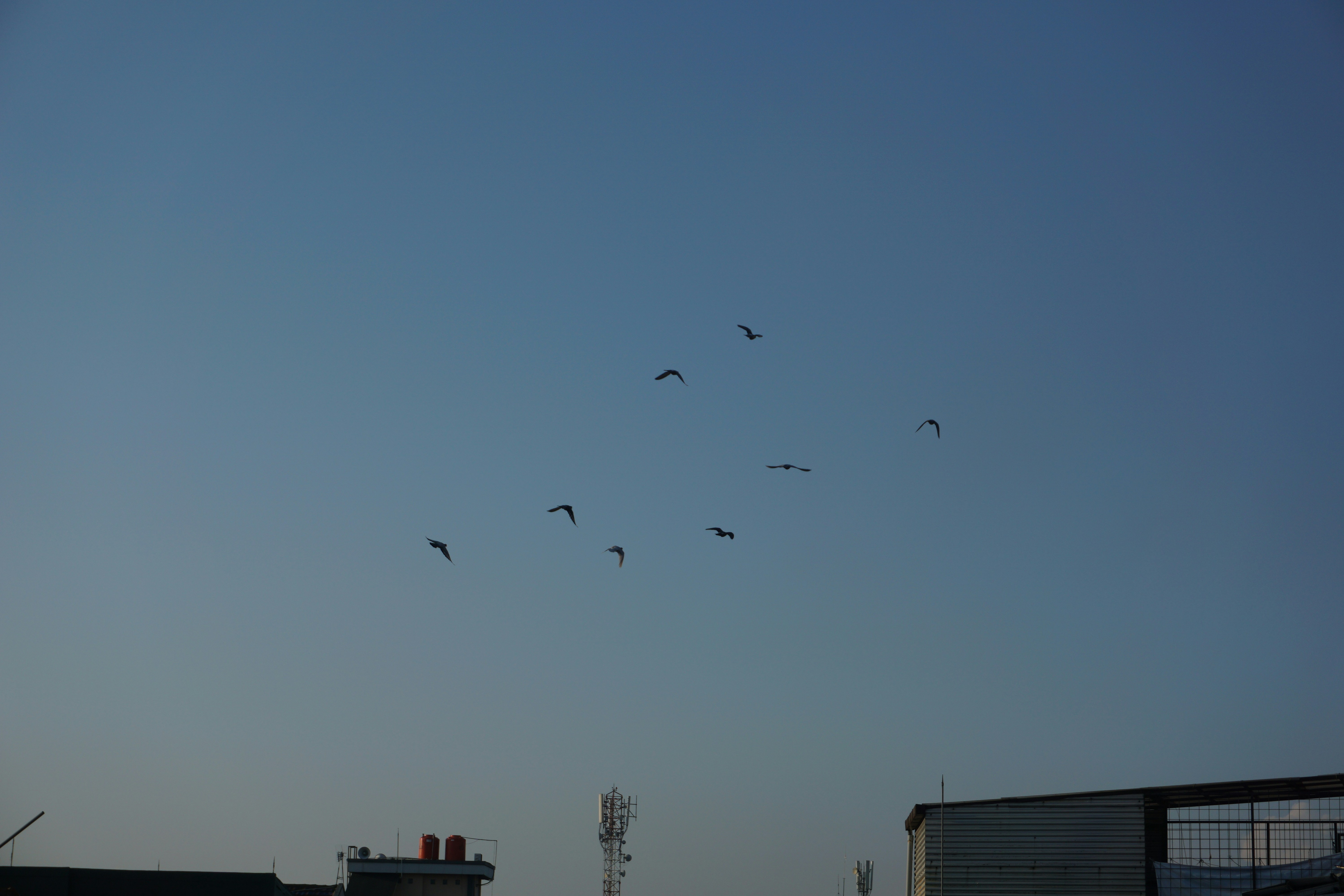 Photo by gpersada