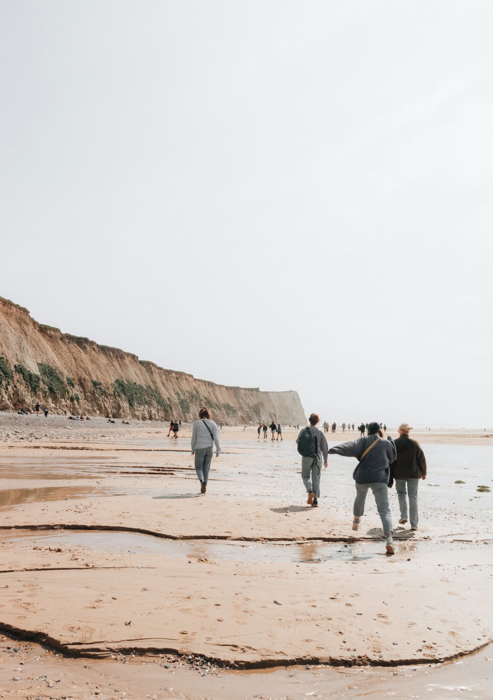 a group of people walking along a sandy beach