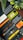 An assortment of phone cases and watch bands are arranged on a dark surface. There are various designs and colors, including yellow and transparent phone cases. The watch bands include orange, black, and yellow hues. A small plant adds a touch of greenery to the scene.