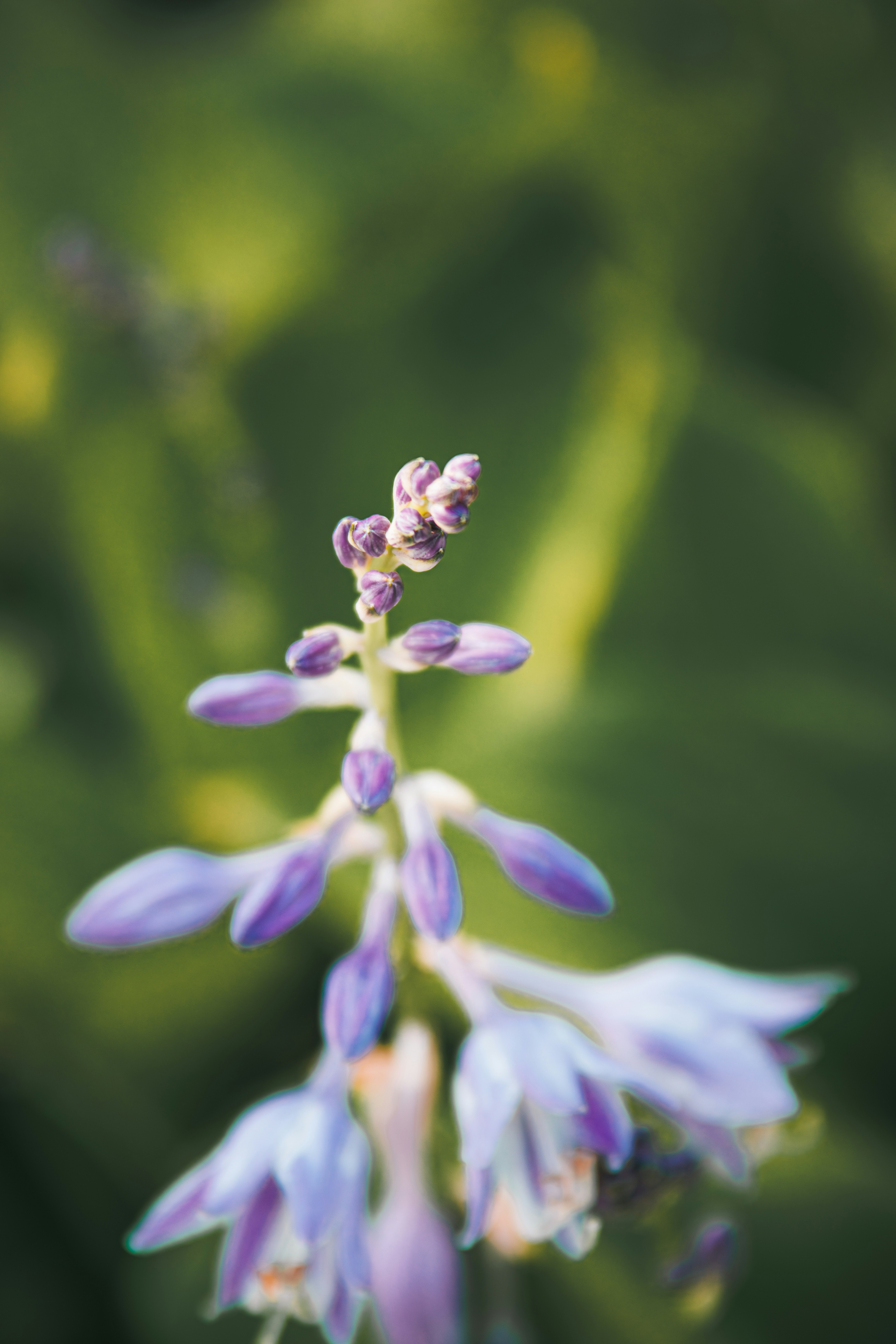 Photo by storywright