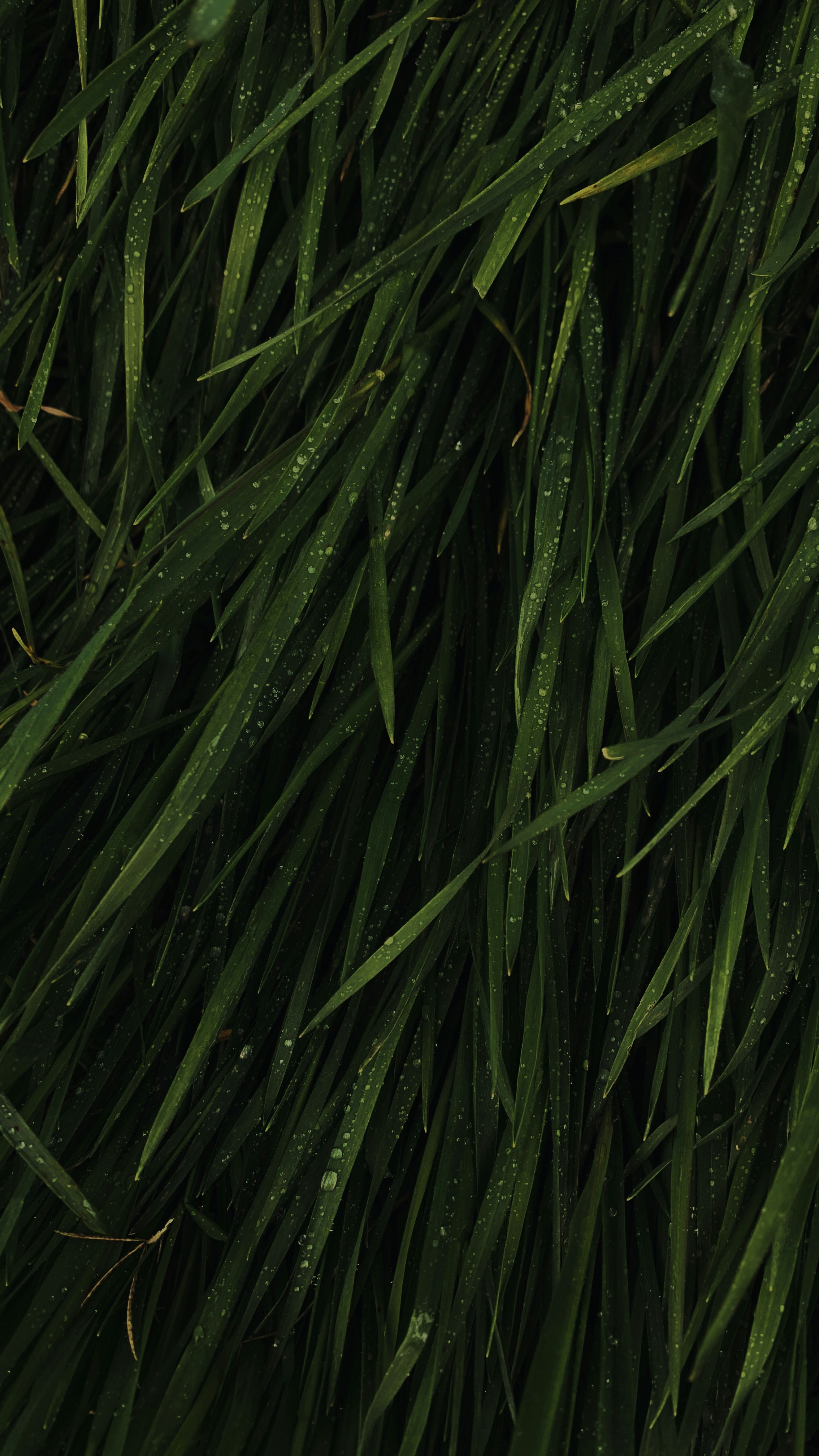 Photo by elinaokolit