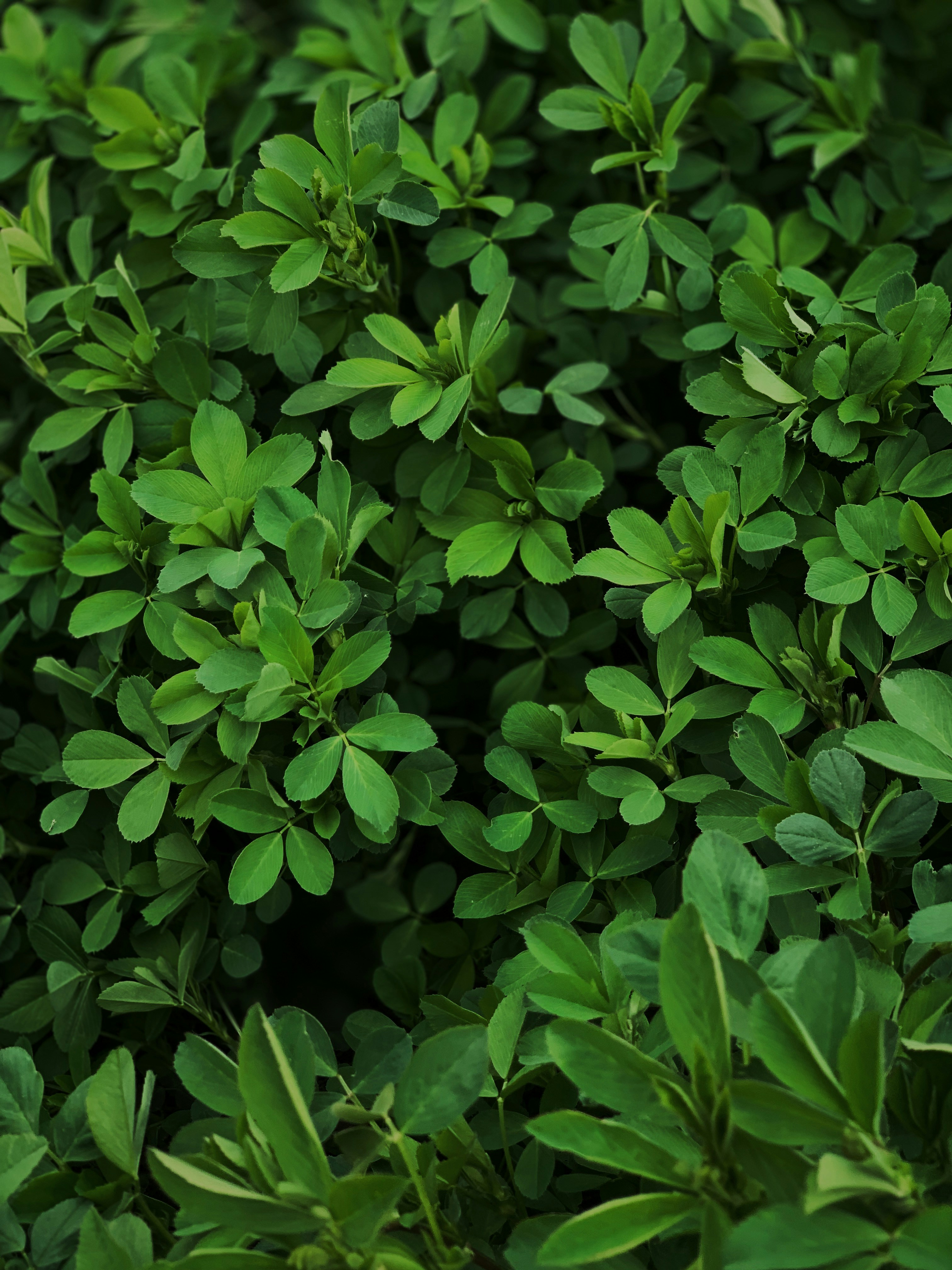 Photo by elinaokolit