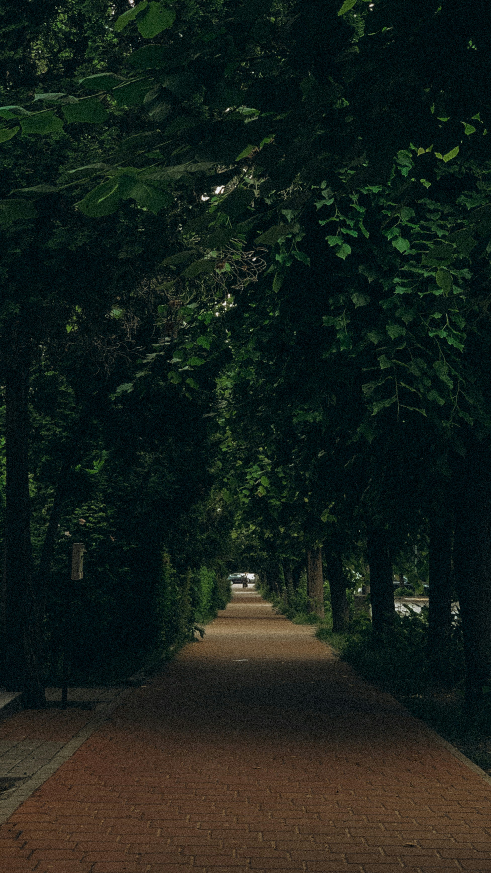 Photo by elinaokolit