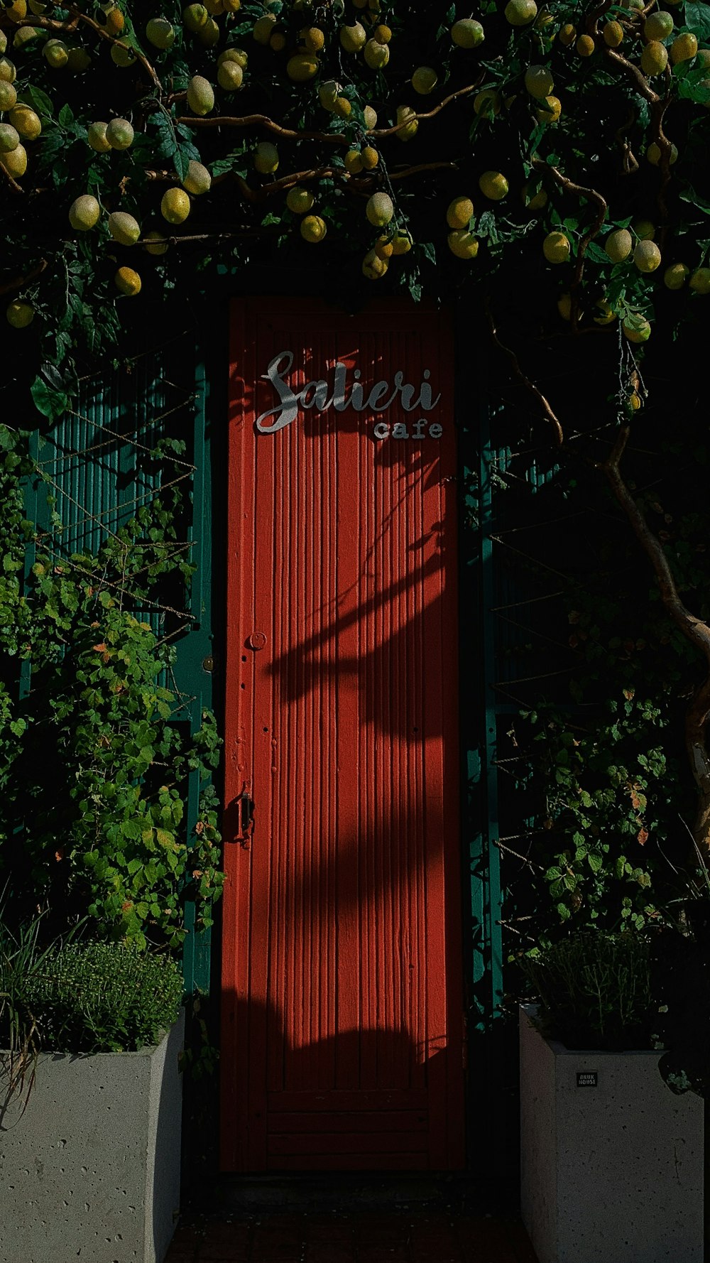 a red door sitting next to a tree filled with fruit