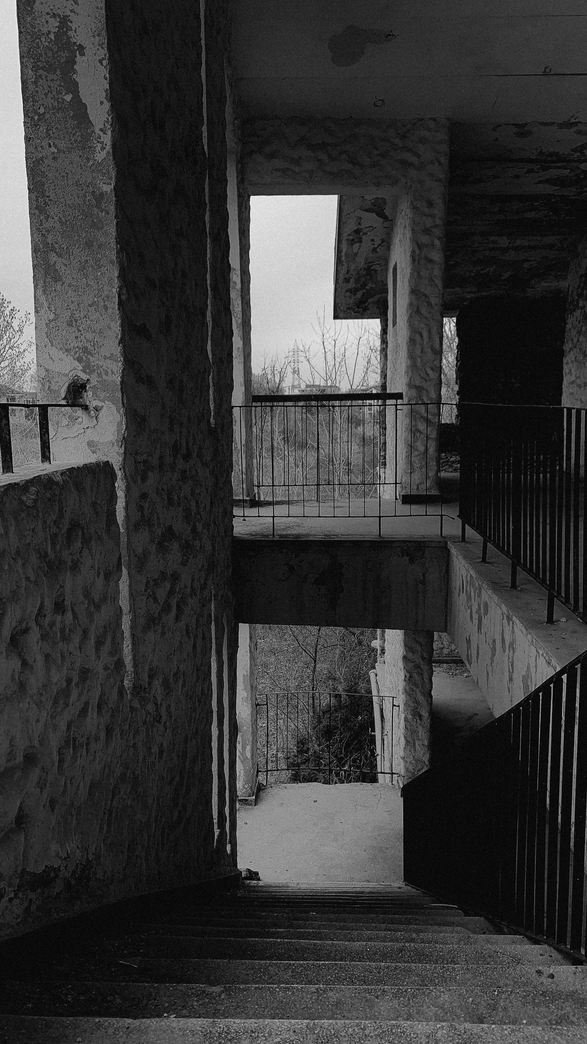 a black and white photo of a stairway