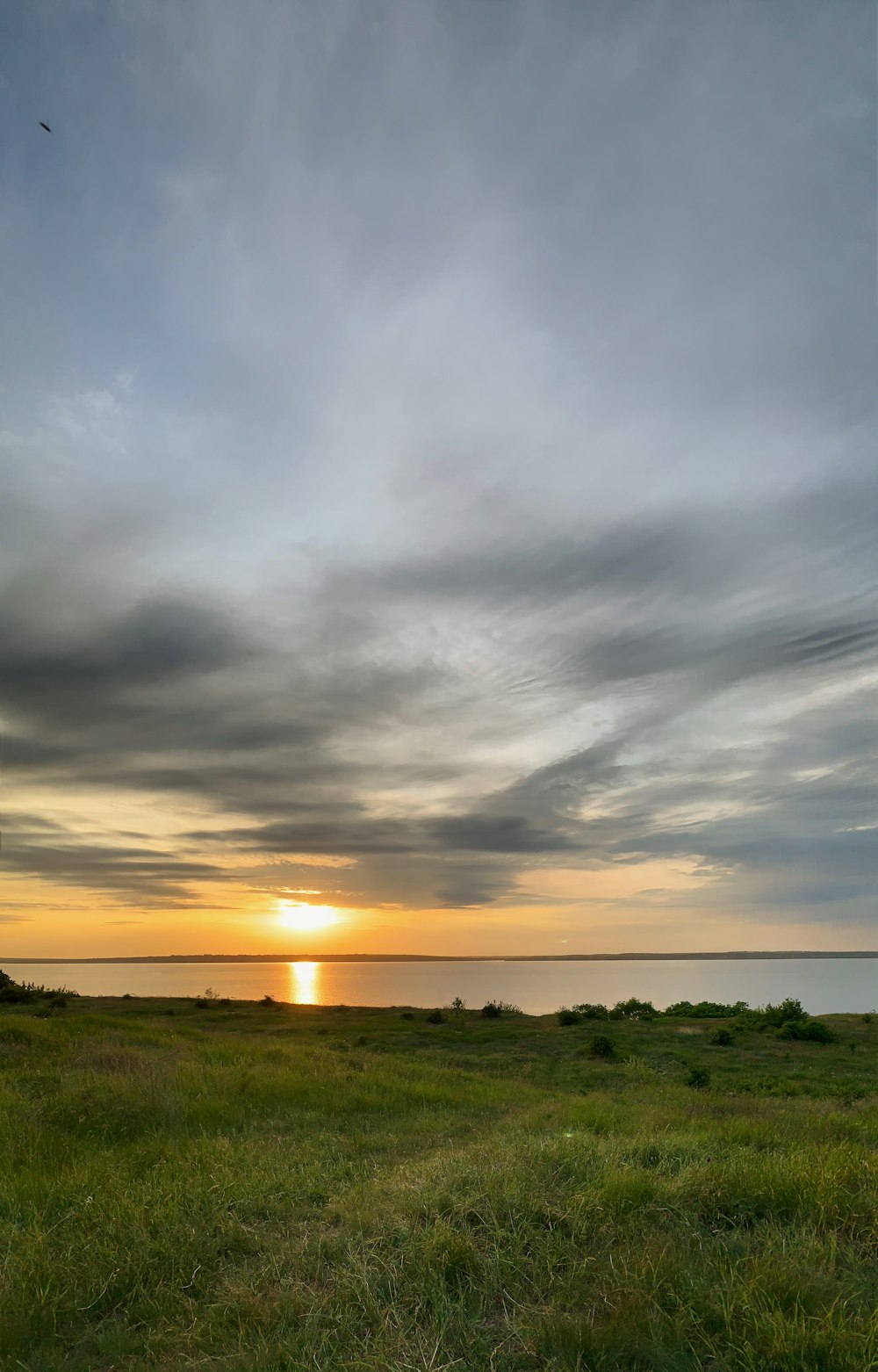 the sun is setting over a grassy field