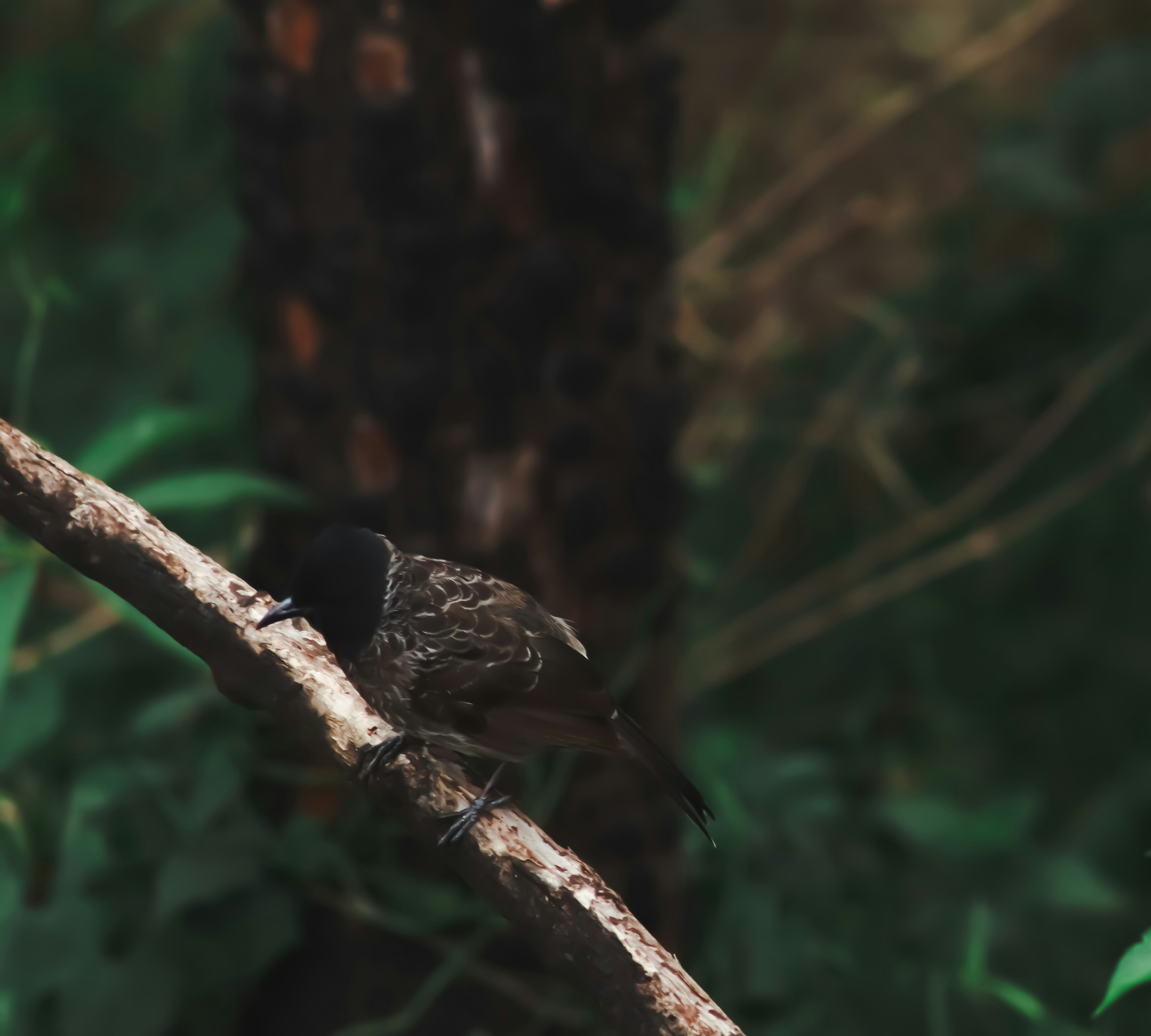 Photo by pushpak_art