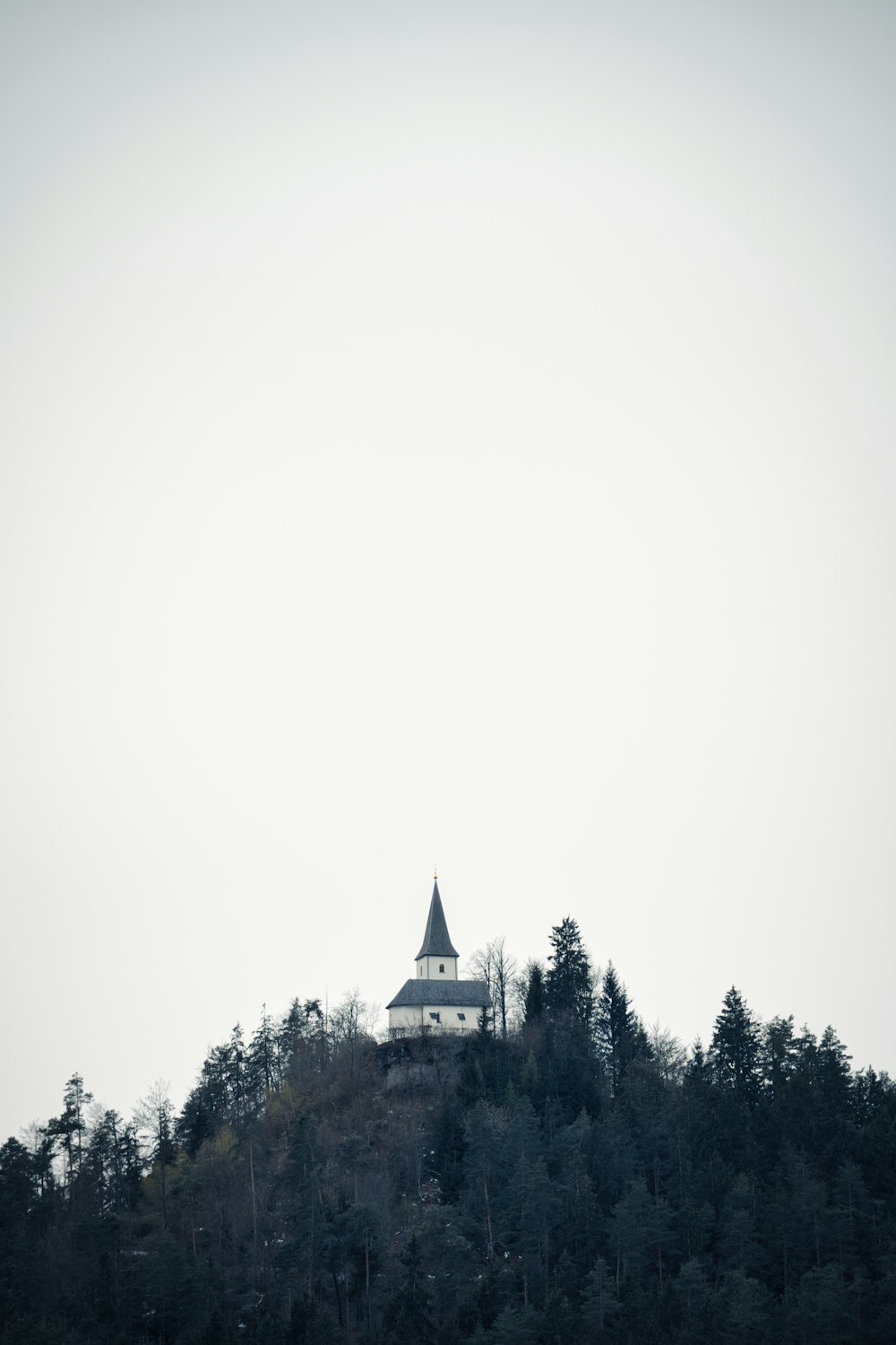 a church on top of a hill surrounded by trees