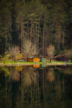 A serene lakeside scene with several wooden cabins nestled among tall pine trees. The water is calm, creating a perfect reflection of the trees and cabins. The cabins are rustic in style, painted in earthy hues, suggesting a harmonious integration with nature. The foreground is dominated by the lake, and the trees' reflections stretch deep into the water, enhancing the tranquil atmosphere.