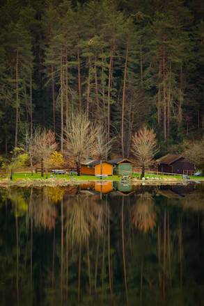 A serene lakeside retreat with cozy cabins surrounded by tall pine trees at sunset.