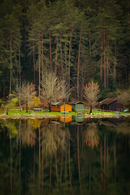 A serene lakeside scene with several wooden cabins nestled among tall pine trees. The water is calm, creating a perfect reflection of the trees and cabins. The cabins are rustic in style, painted in earthy hues, suggesting a harmonious integration with nature. The foreground is dominated by the lake, and the trees' reflections stretch deep into the water, enhancing the tranquil atmosphere.