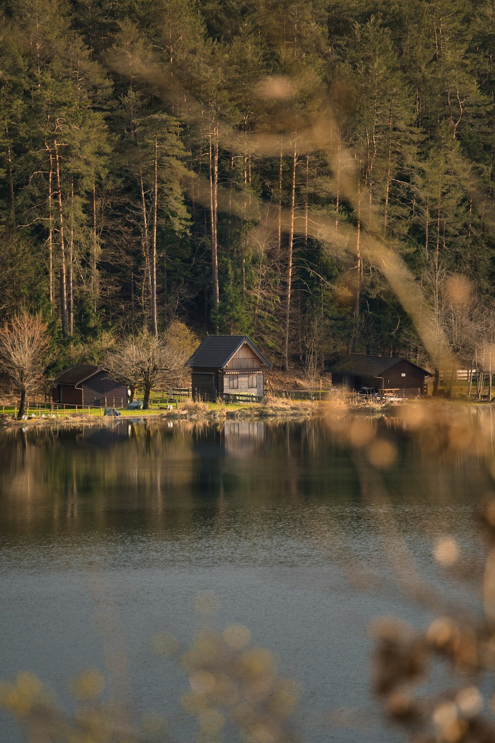 a lake surrounded by trees with a house in the background
