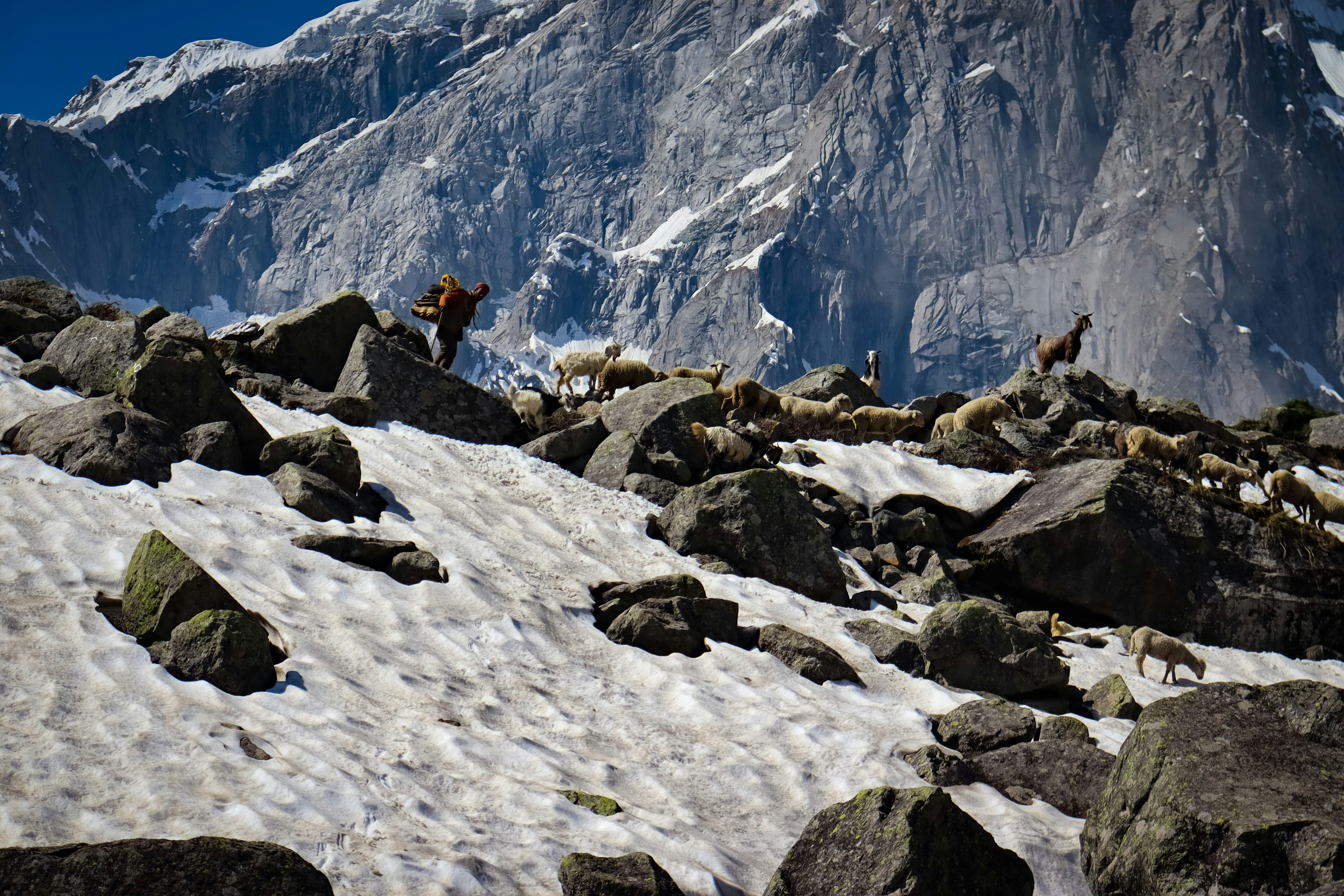 Photo by musafir_the_unknown_photographer