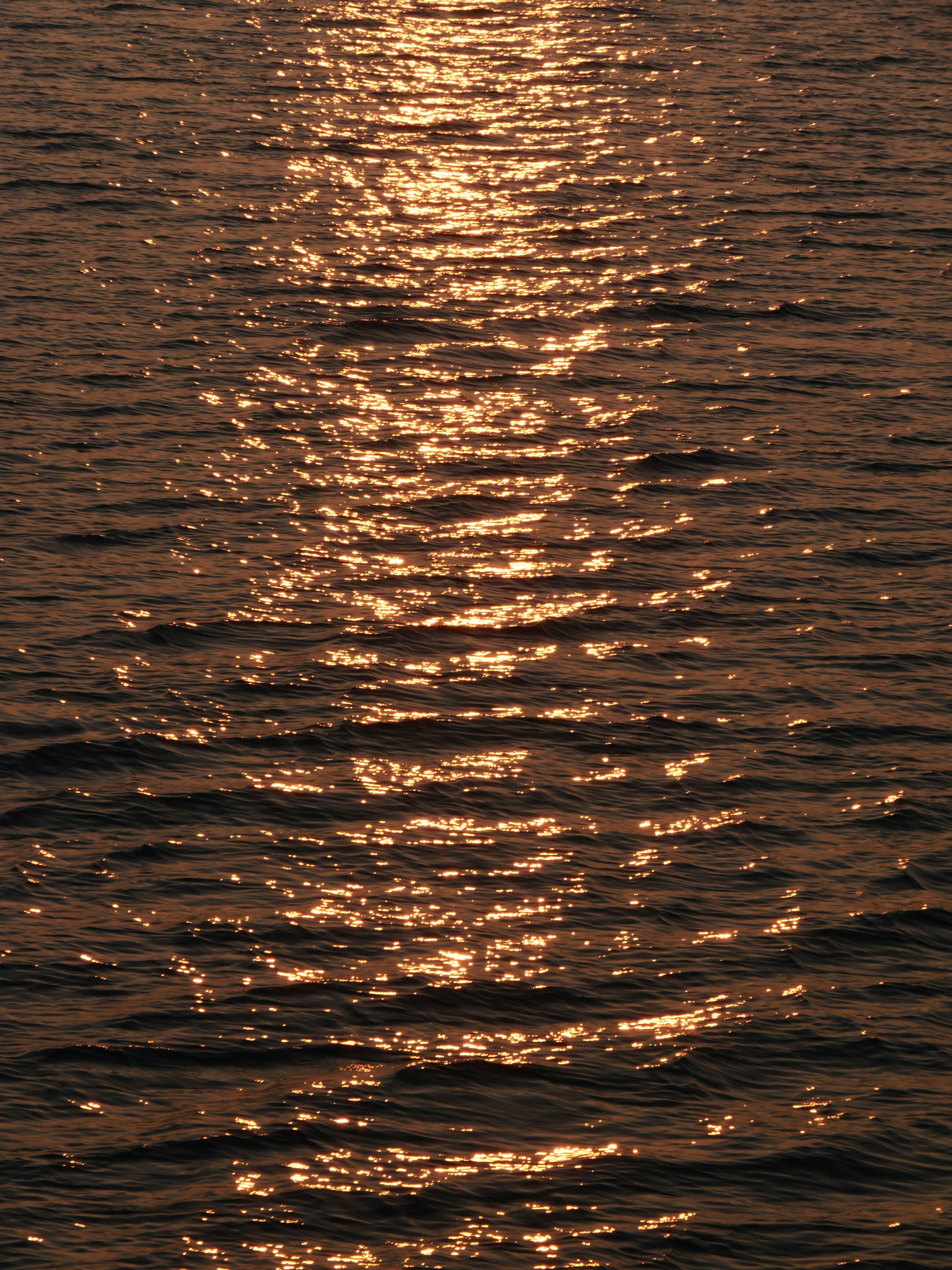 Photo by nimbus_vulpis