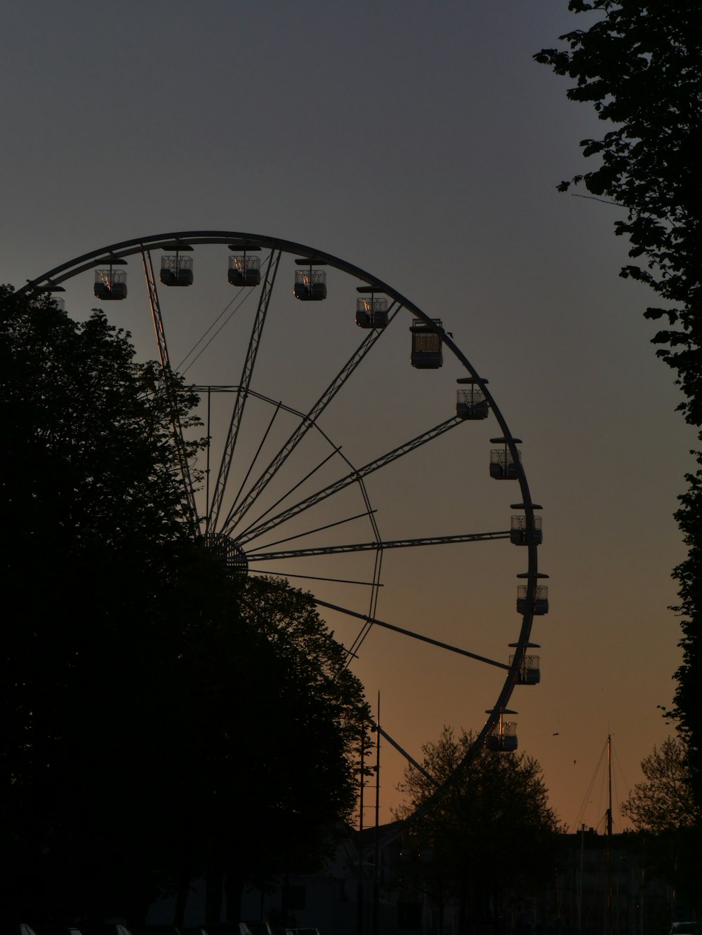 a large ferris wheel sitting next to a forest