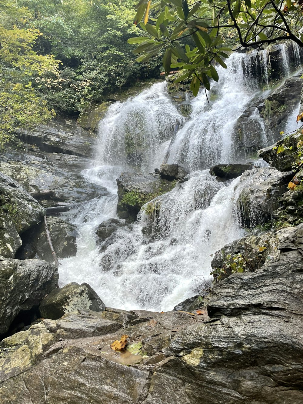 a waterfall in the middle of a forest