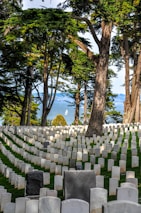 A serene cemetery scene with rows of white tombstones arranged neatly on a green lawn. Tall trees with lush foliage create a dense canopy overhead, casting gentle shadows. In the distance, a blue sea and a sailboat are visible, adding a peaceful touch to the landscape.
