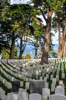 A serene cemetery scene with rows of white tombstones arranged neatly on a green lawn. Tall trees with lush foliage create a dense canopy overhead, casting gentle shadows. In the distance, a blue sea and a sailboat are visible, adding a peaceful touch to the landscape.