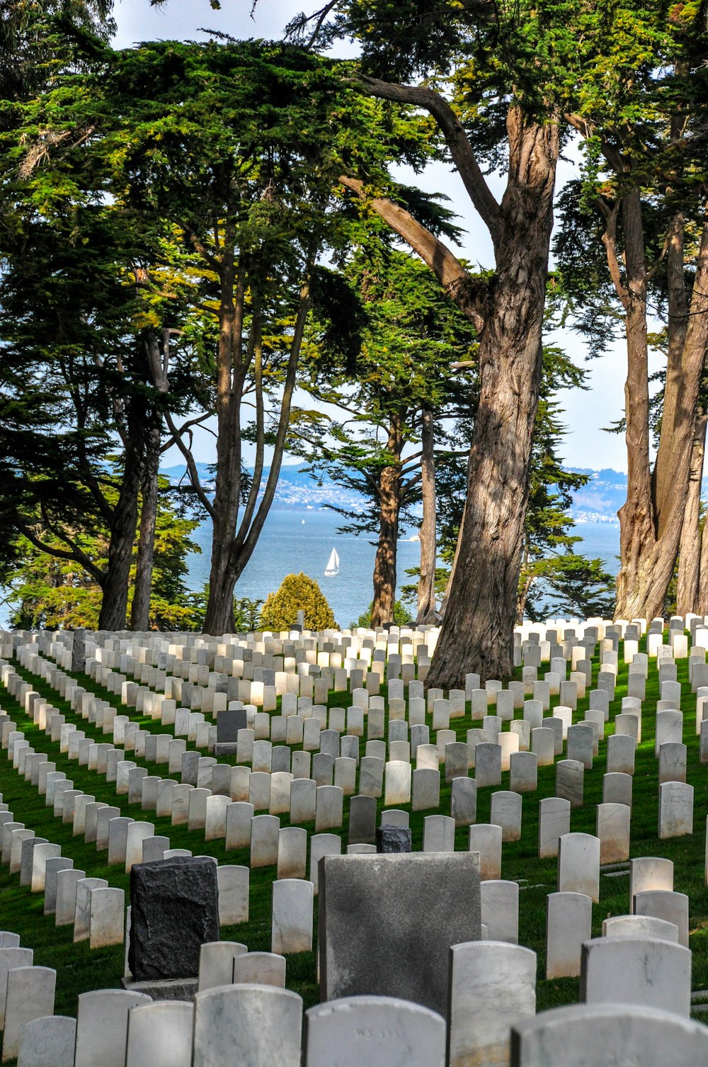 a cemetery with rows of headstones and trees