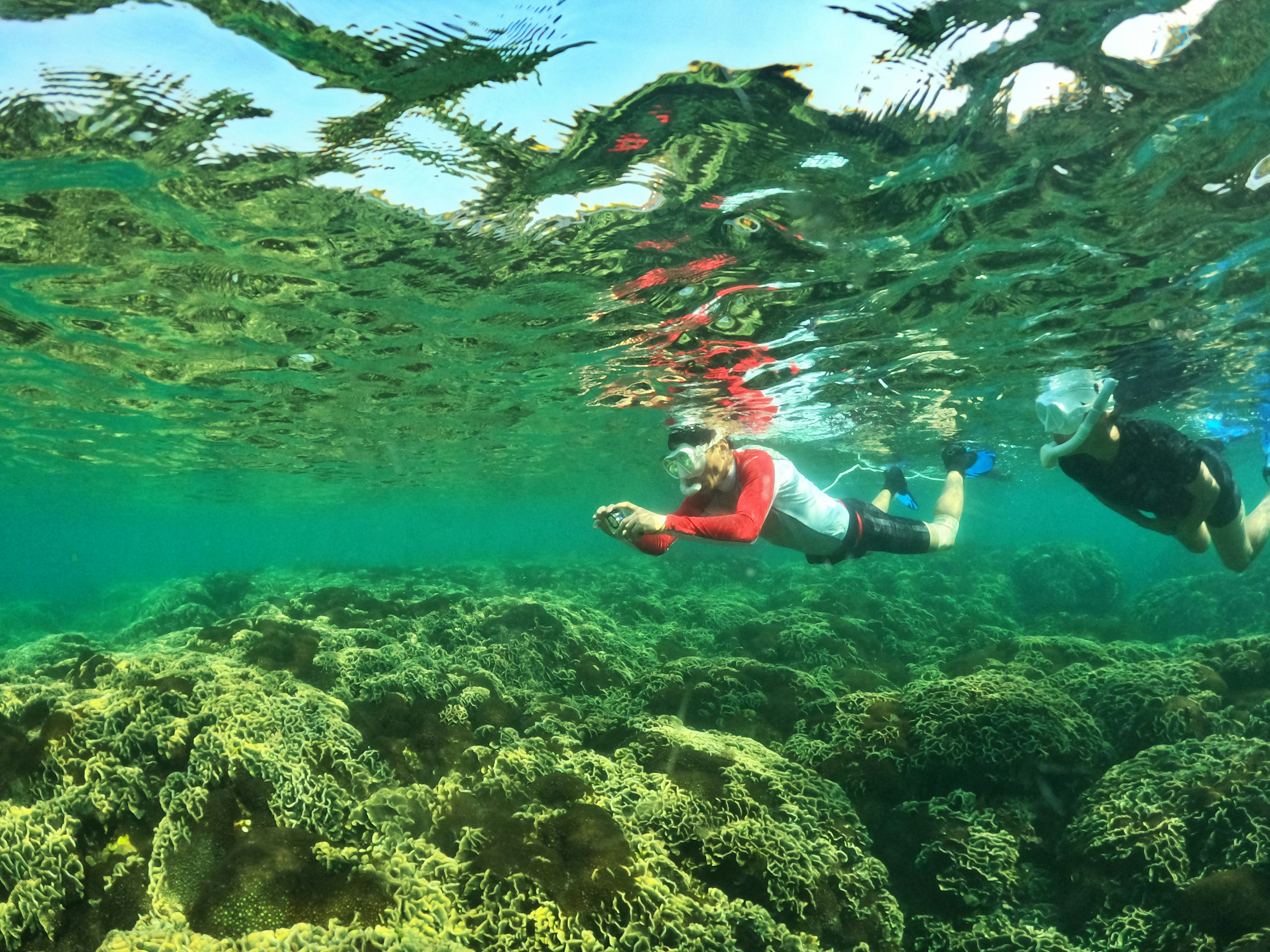a person swimming in the water with a red shirt on, Snorkeling to explore the Coral Mountain in Phu Quoc Island