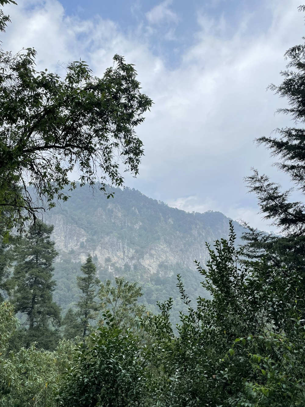 a view of a mountain through the trees