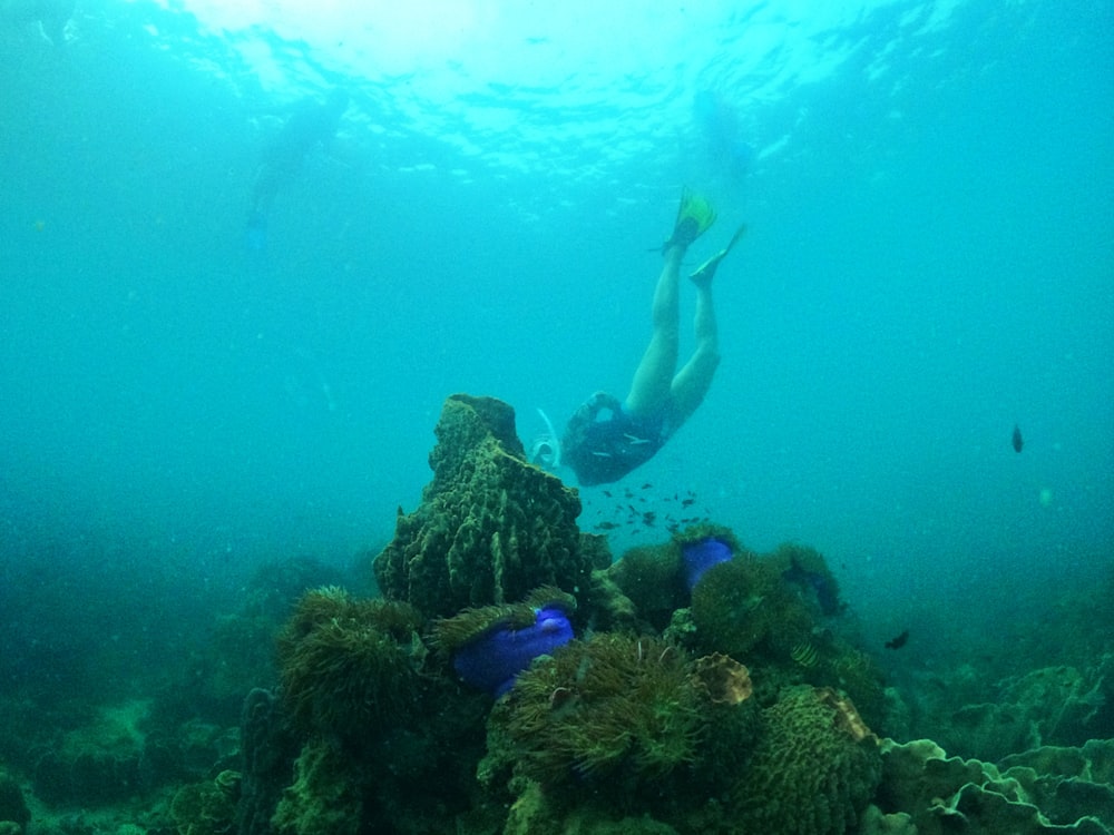 a person swimming in the water near a coral reef