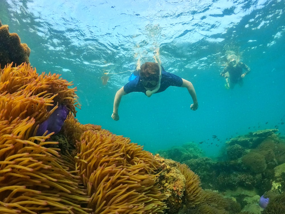 a person swimming in the water near a coral reef