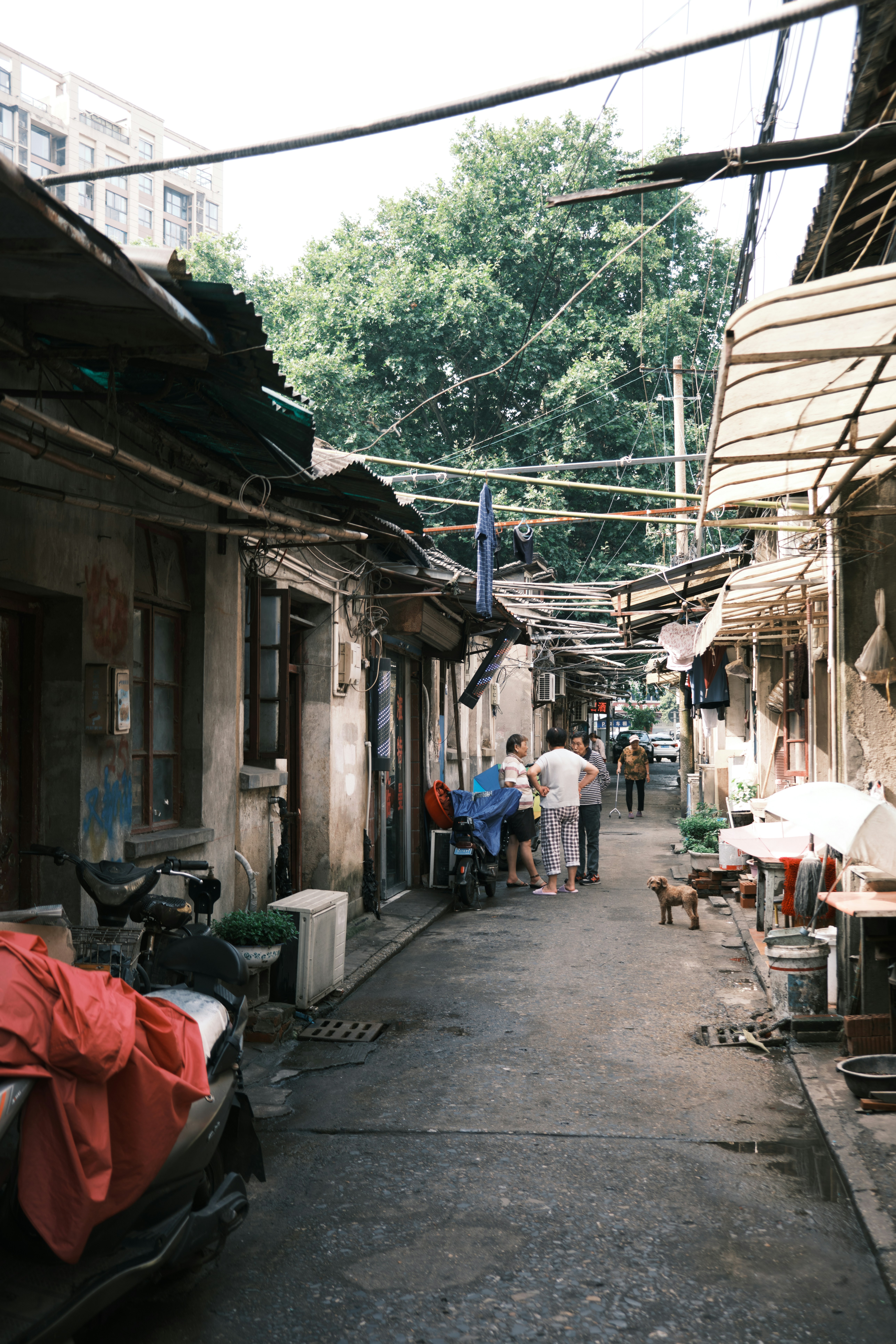 He Chuan (@drunkenice) | Komunitas Foto Unsplash