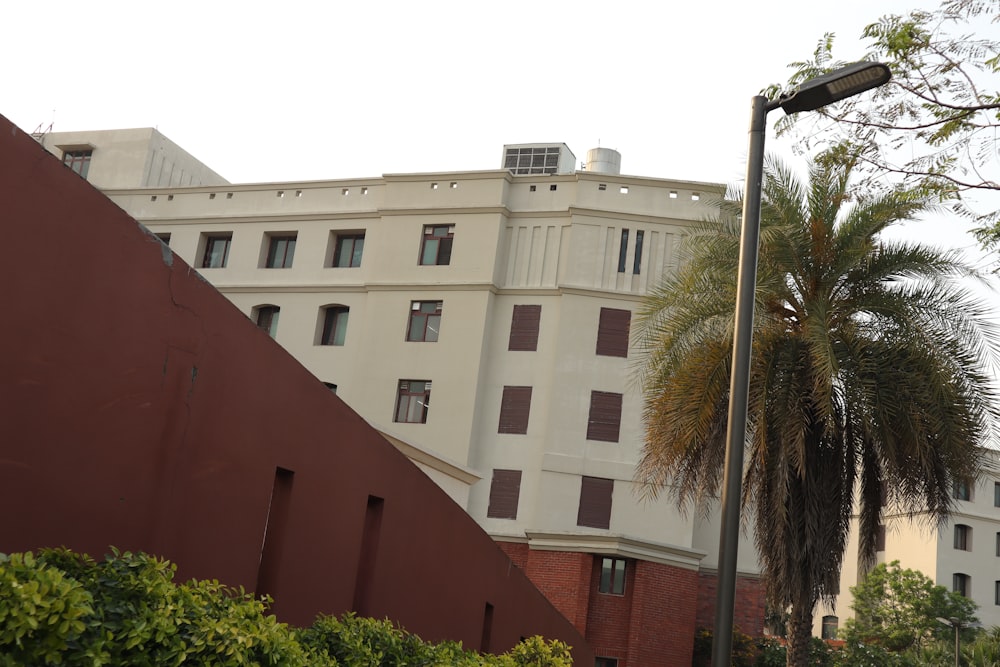 a tall white building sitting next to a palm tree