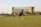 A person is playing cricket on a well-maintained grassy field. The action captured shows a bowling motion, with the player mid-delivery. In the background, a large, multi-story building is visible. There are a few other people present, observing the game.
