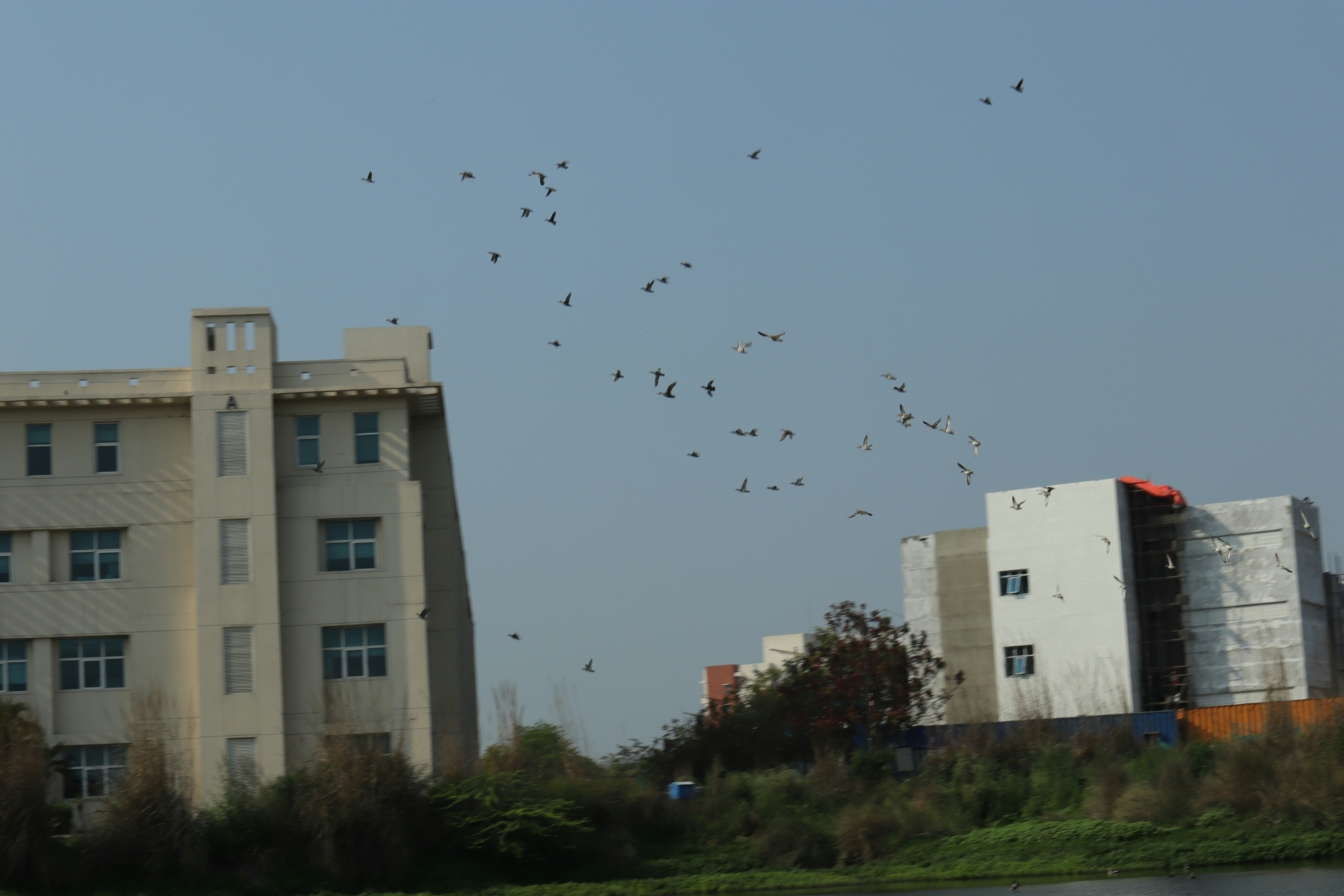 Arena Experience 2026: Smart Lighting, Spatial Audio, and Micro-Events That Transform EuroLeague Nights