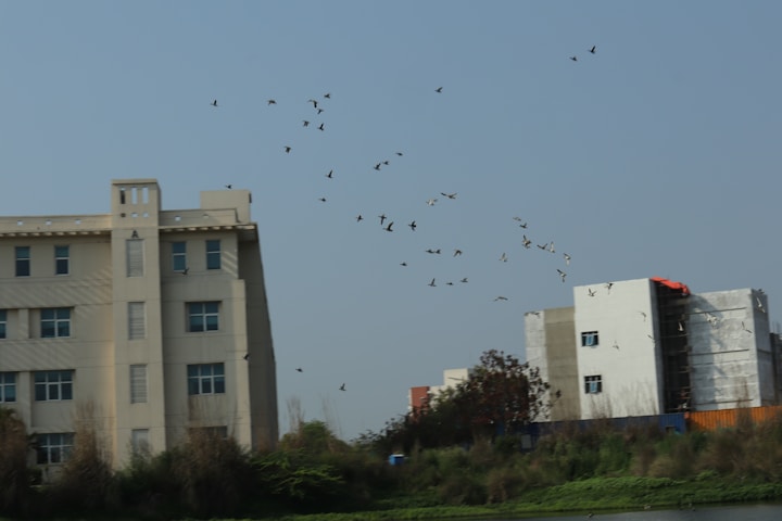 Embry Riddle Aeronautical University
