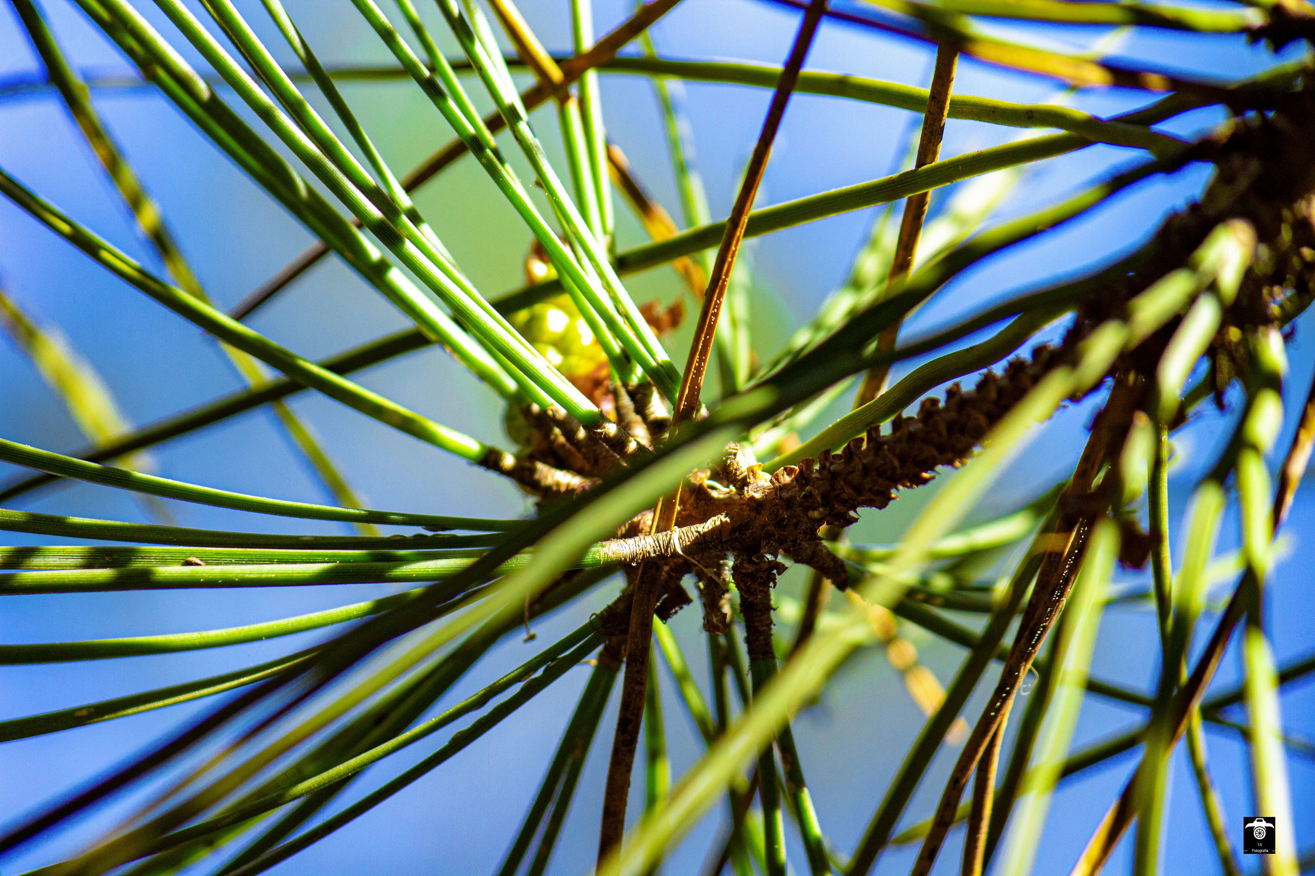 Photo by t_s_fotografia