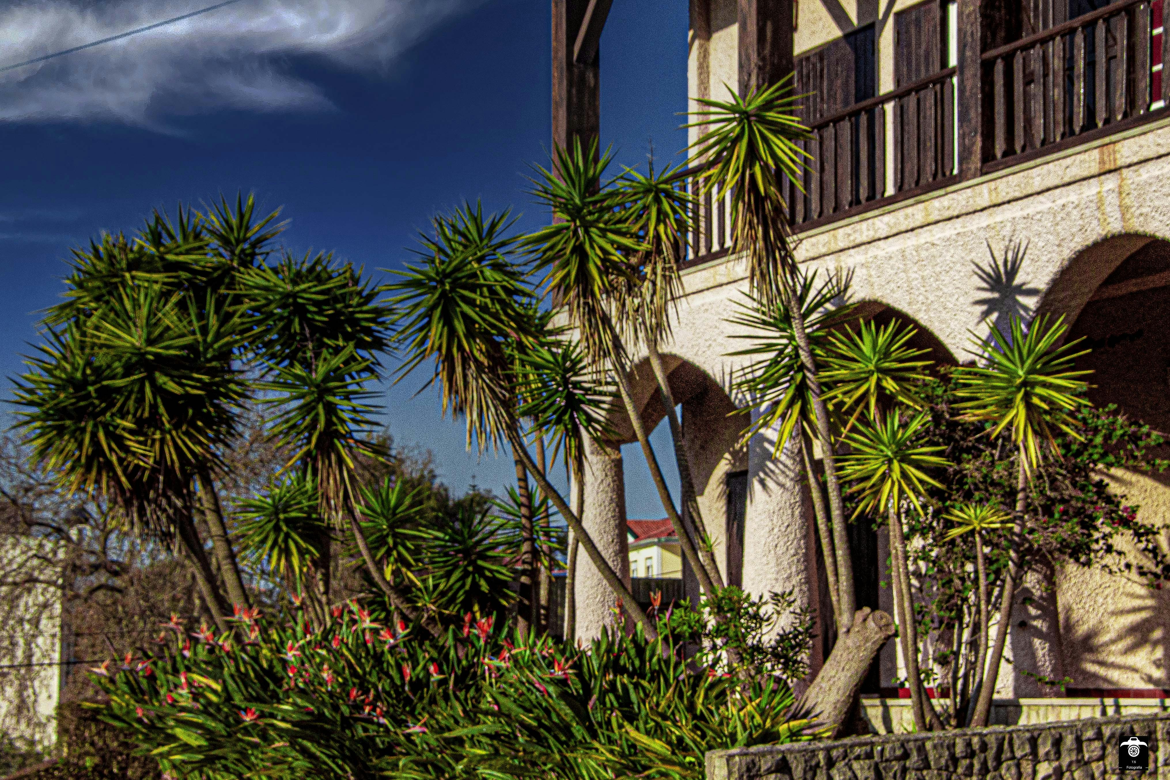 Photo by t_s_fotografia