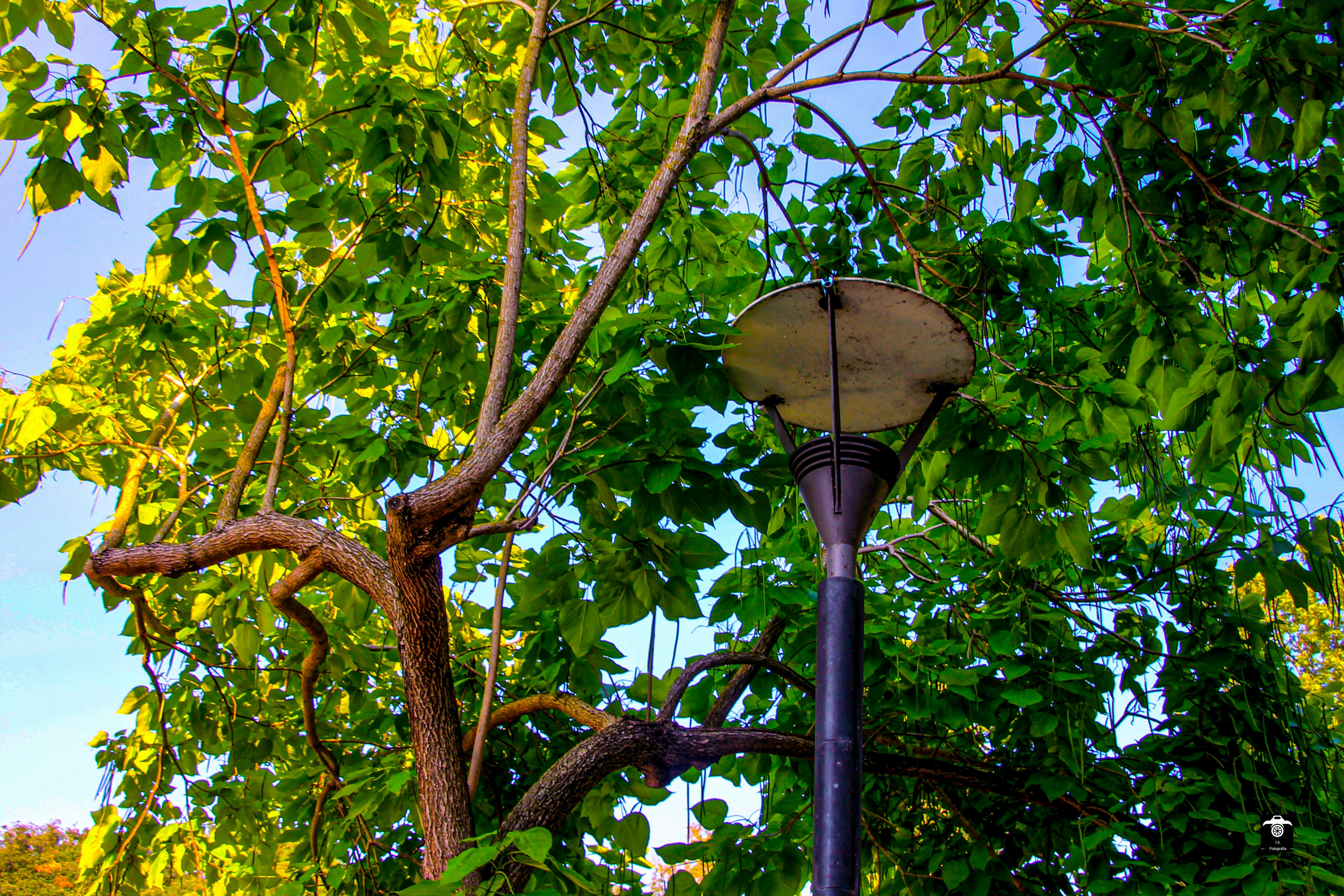 Photo by t_s_fotografia