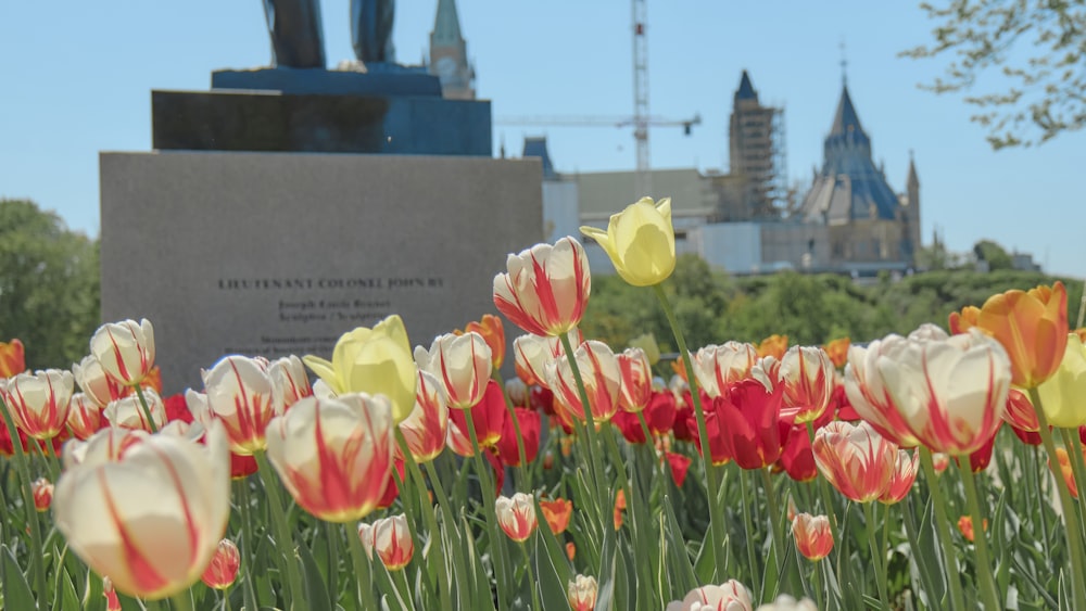 a field of tulips in front of a monument
