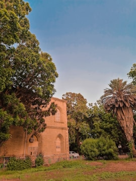 a church surrounded by trees on a sunny day