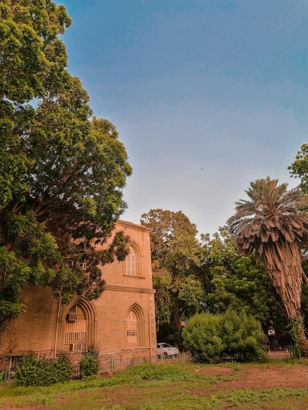 a church surrounded by trees on a sunny day