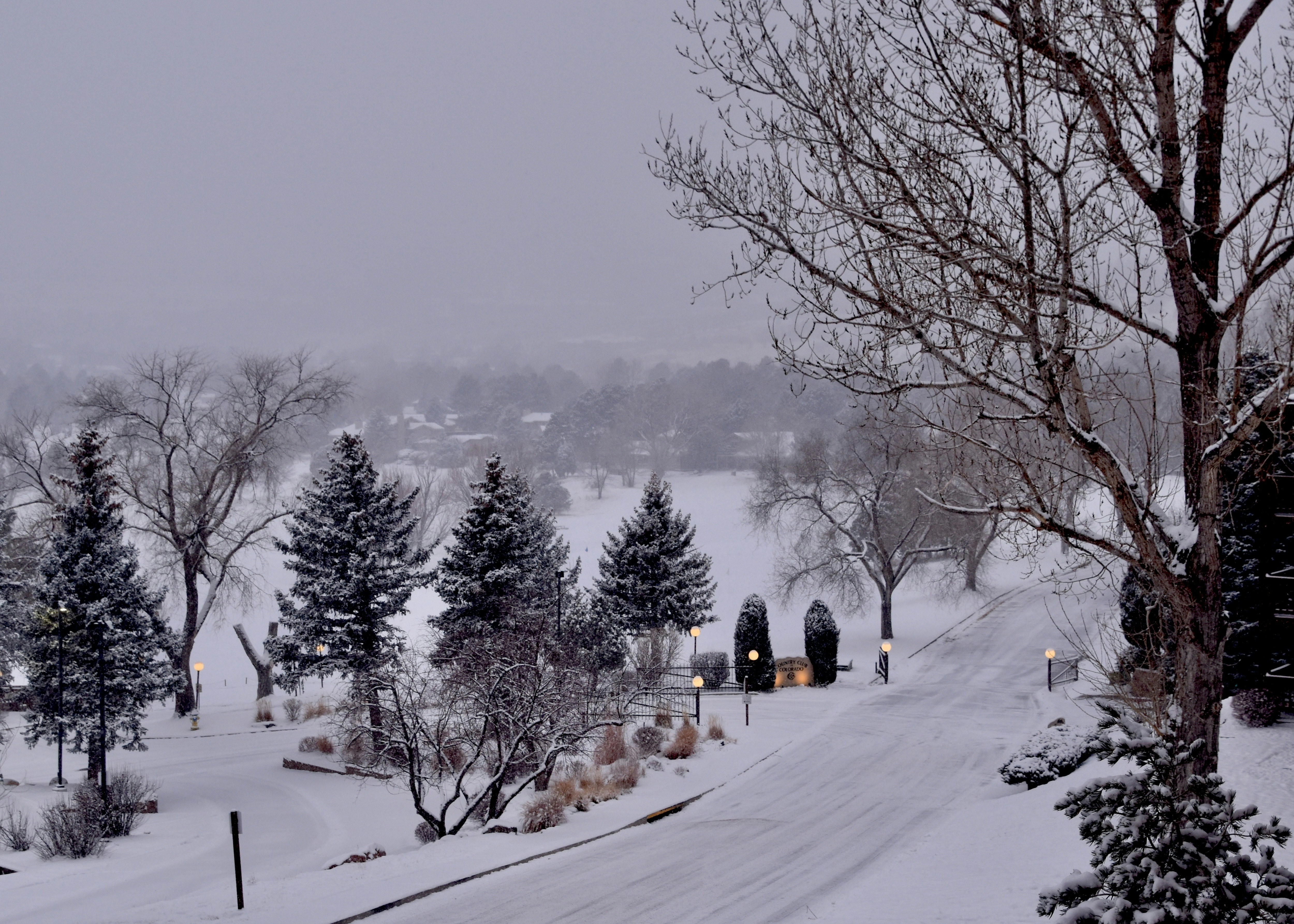 a snow covered road with trees and houses in the distance
