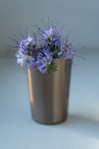 Close-up of delicate lavender flowers intertwined with minimalist golden decor on a white background.
