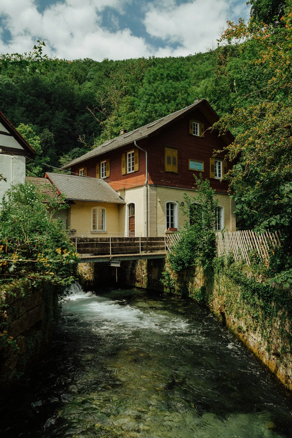 a river running through a lush green forest