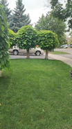 A freshly paved driveway bordered by lush green lawn and newly planted trees.