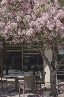 Backyard patio with seating area and blooming garden flowers.