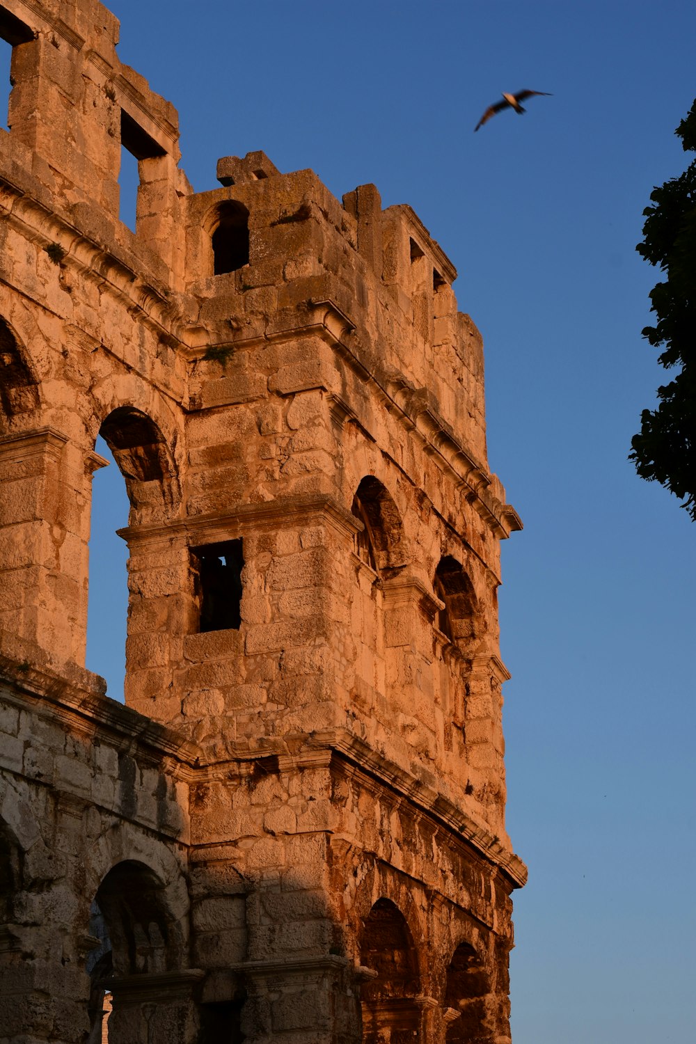 a bird flying over an old stone building