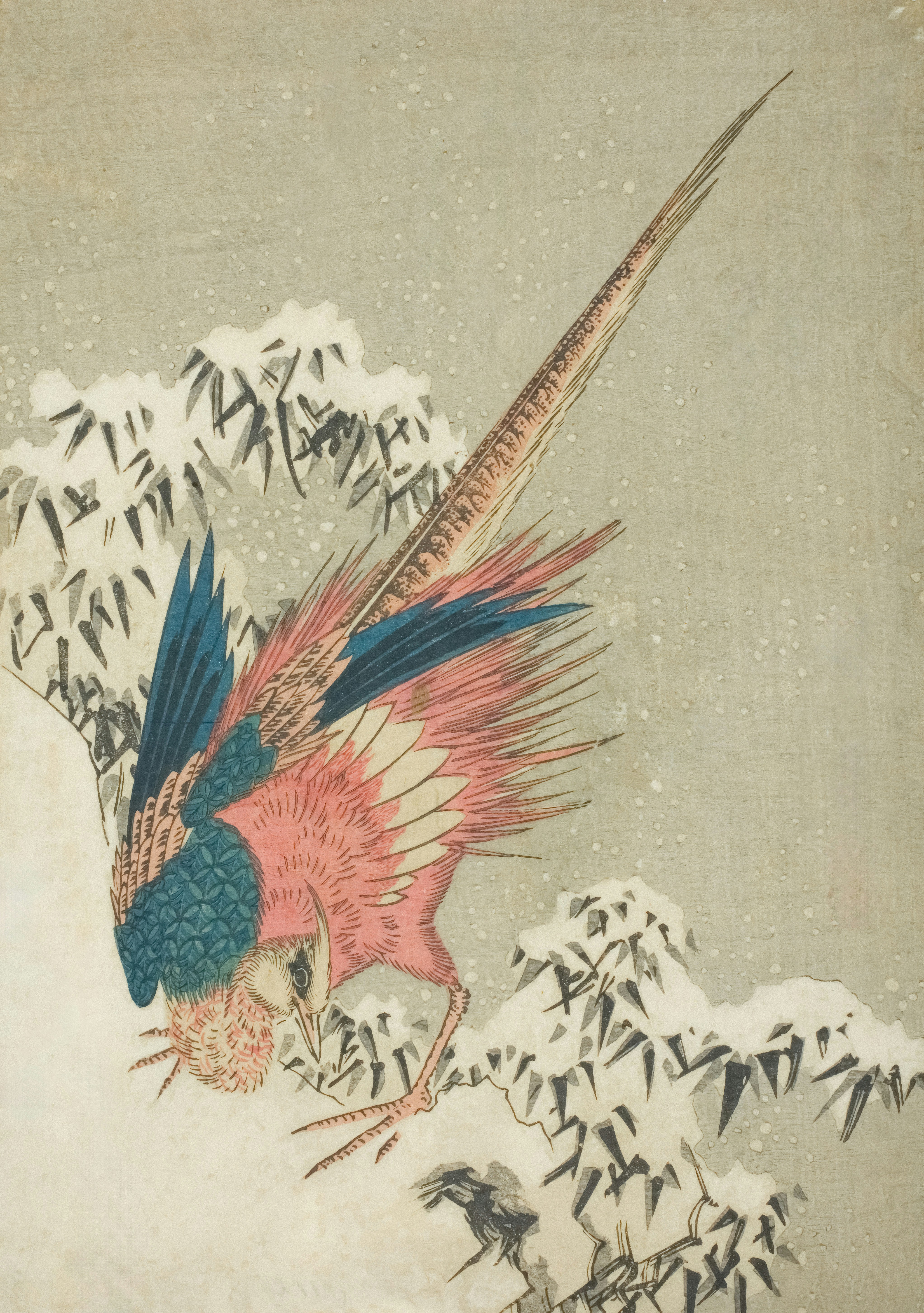 Foto Lukisan burung terbang di langit – Gambar Seni Gratis di Unsplash, image size:3000x4263