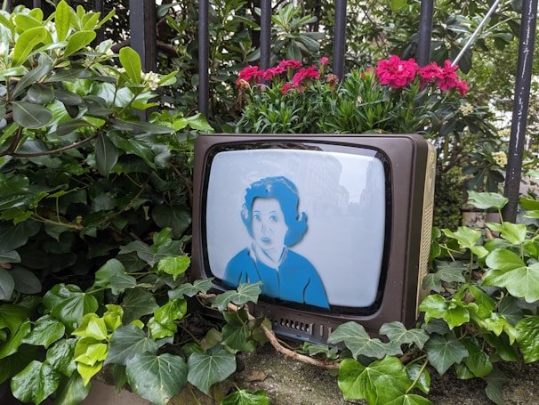 An artistic blend of retro TV screens showing scenes from classic series and Bible study.