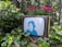 An old television sits among lush green foliage and pink flowers. On the screen is an illustration of a person in blue shades, with a blurred background scene. The setting blends natural elements with a retro electronic device.